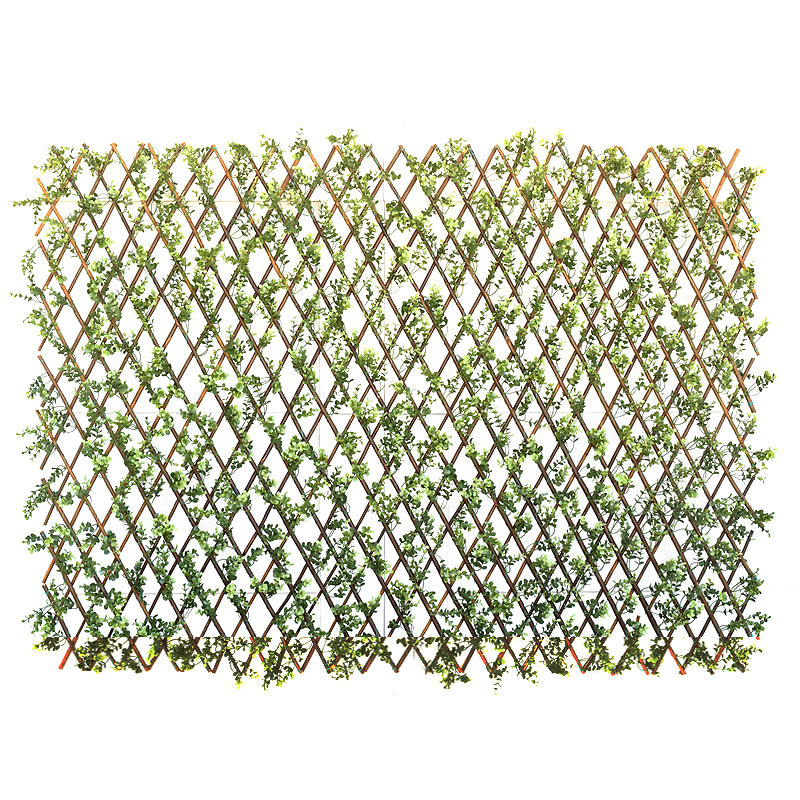 Boxwood Lattice Screen