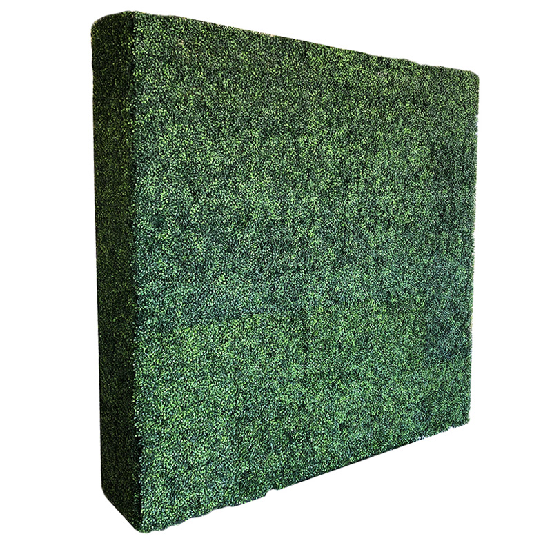 Boxwood Free Standing Wall