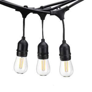 50' Edison Bulb String Lights